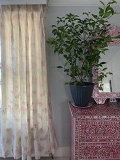 TWO PAIRS AVAILABLE!! FRENCH